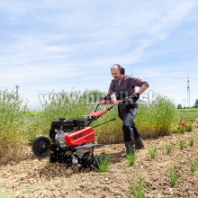 Rotavátor benzínový 4-takt, MH 770, záber 77cm, AL-KO / 4,6HP