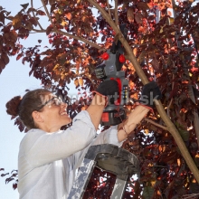 Aku píla reťazová Mini CSV 1815 / BOSCH FLEX [18V, 1x2,5Ah, nabíjačka, krabica]