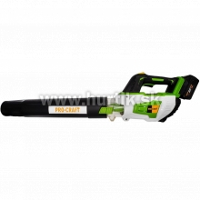 Aku fukár PB20 [20V, bez aku, nabíjačky, krabica]