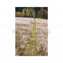 _Traktor trávny STARJET Exclusive UJ 102-23 P5, záber 102cm, B&S profesional VANGUARD / 23HP - 2 valec
