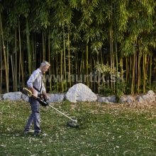 Aku vyžínač a krovinorez BC 500e (SBC 500 AE) [48V, bez aku, nabíjačky, krabica]