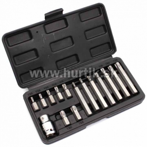 Sada bitov TORX 15dielna